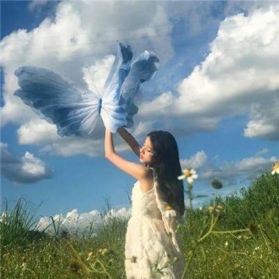囚鸟 高清封面